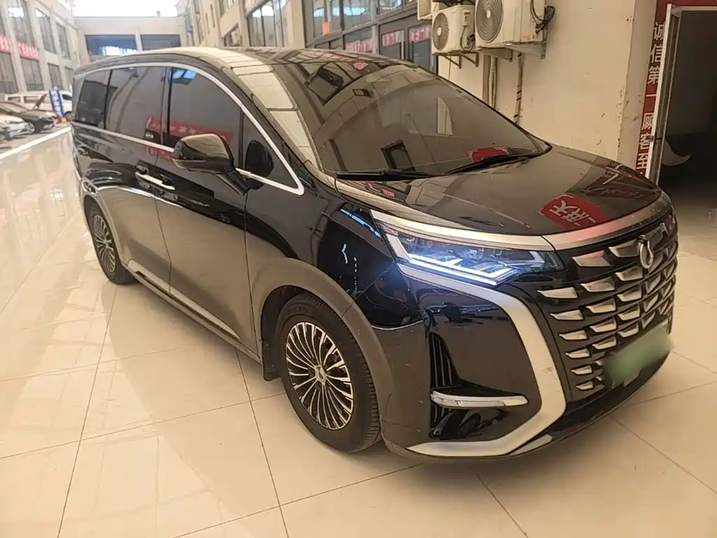 Denza Denza D9 — миниатюра 4