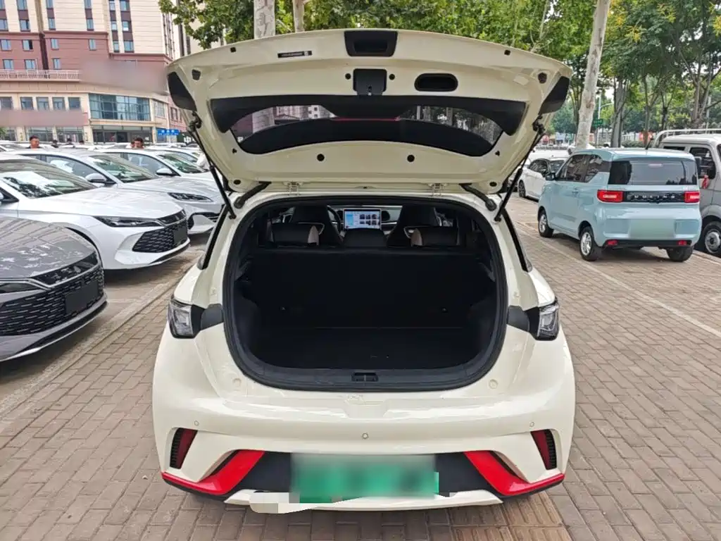 BYD Dolphin — миниатюра 19