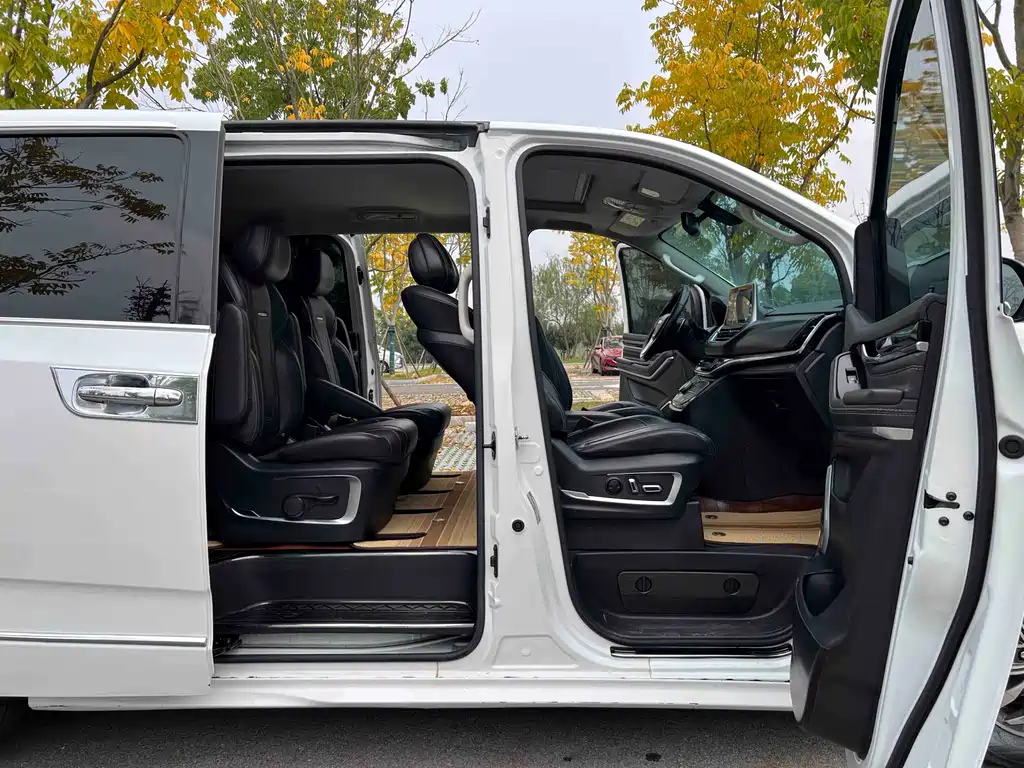 SAIC MAXUS CHASE G20