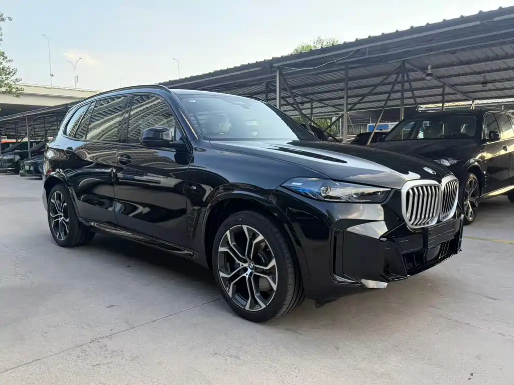 BMW X5 — миниатюра 3