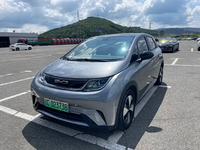 2024 BYD Dolphin