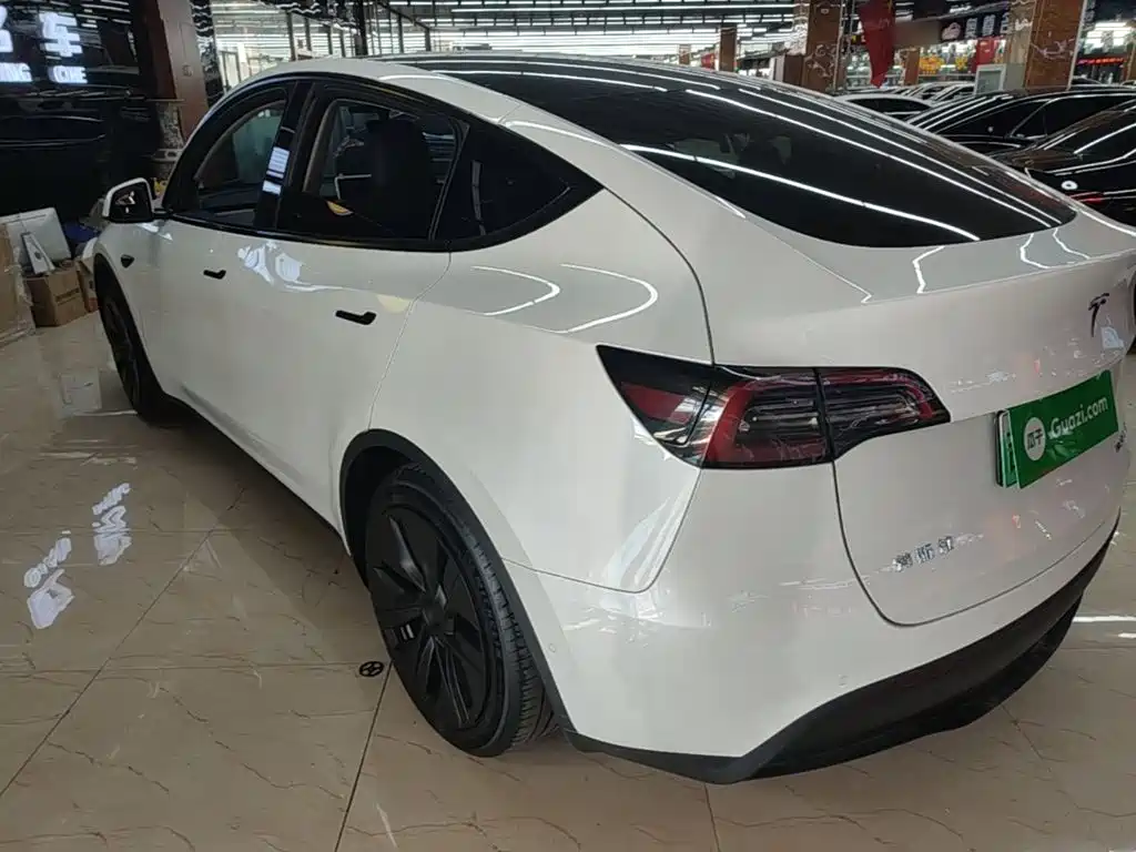 Tesla Model Y — миниатюра 5