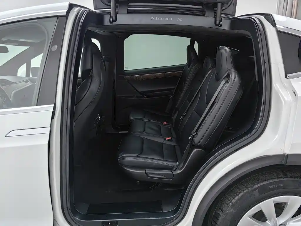 Tesla Model X — миниатюра 15
