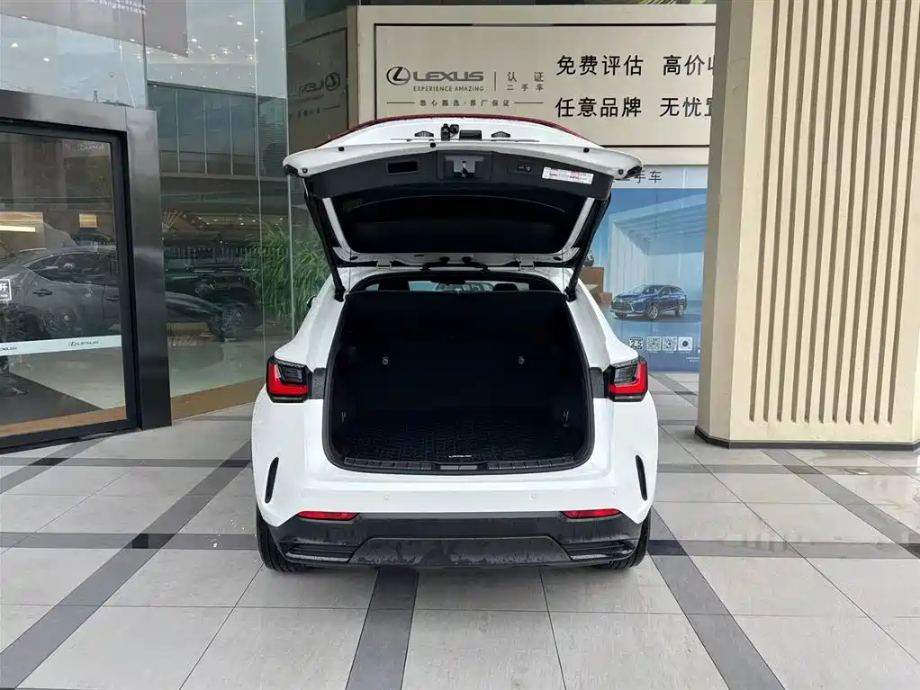 Lexus NX New Energy — миниатюра 6
