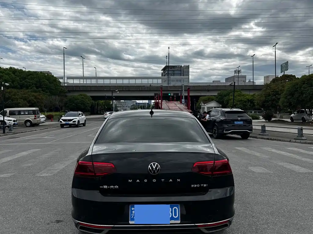 Volkswagen Magotan 2020 330TSI DSG Luxury