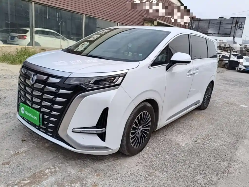 Denza Denza D9 — миниатюра 2