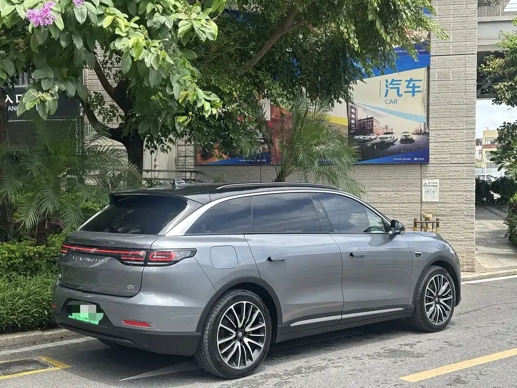 Leapmotor Leapmotor C11 — миниатюра 3