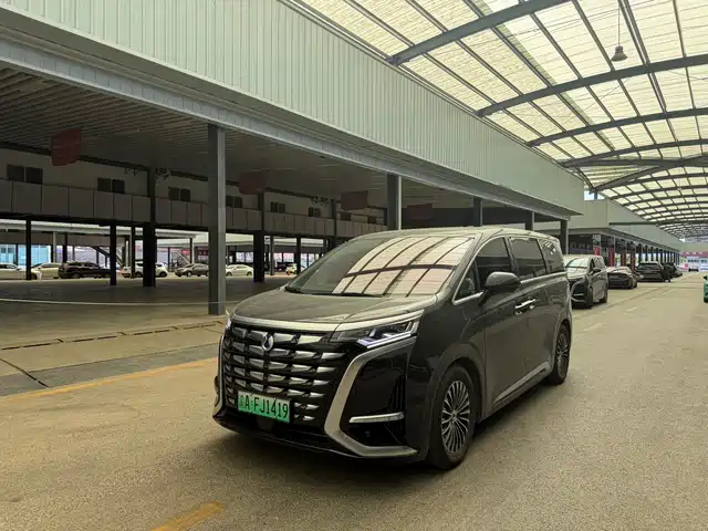 2024 Denza D9