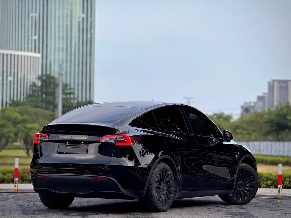 Tesla Model Y — миниатюра 14