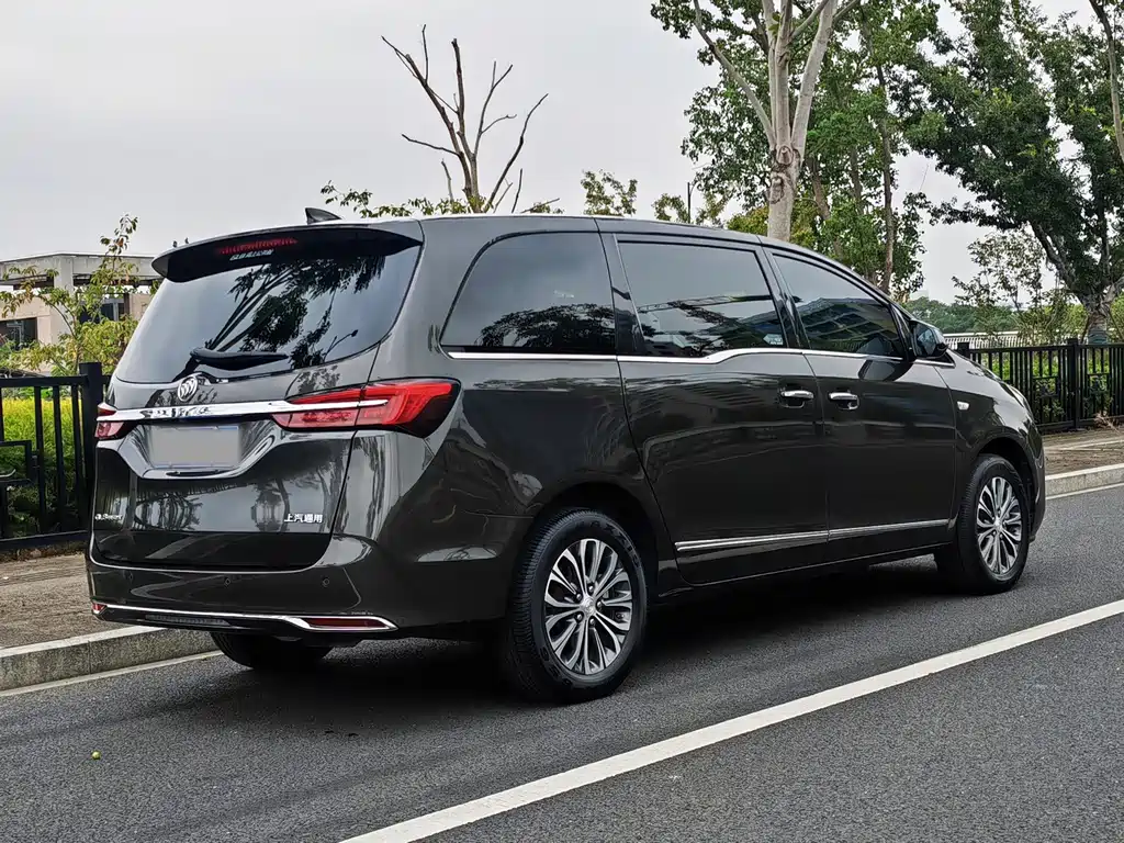 Buick GL8 — миниатюра 9