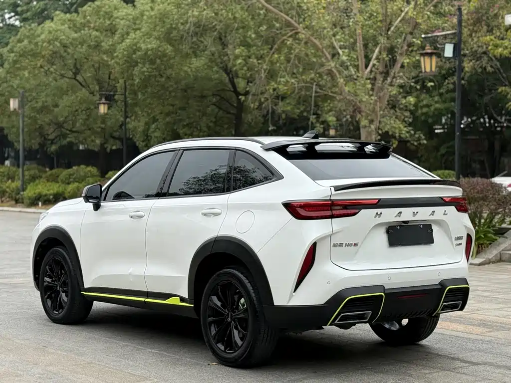 HAVAL H6S