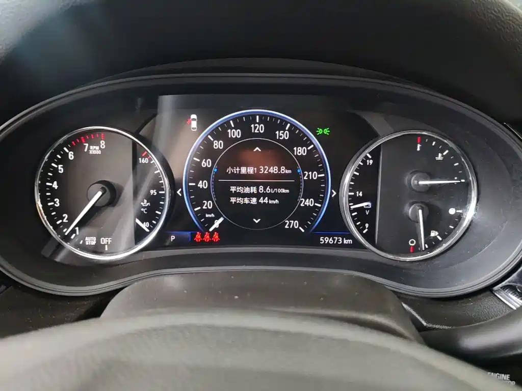 Buick Regal — миниатюра 12