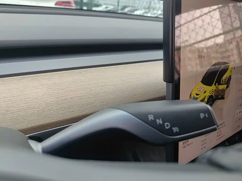 Tesla Model Y — миниатюра 14