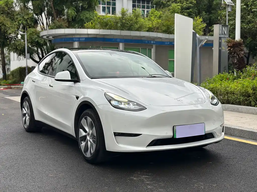 Tesla Model Y — миниатюра 3
