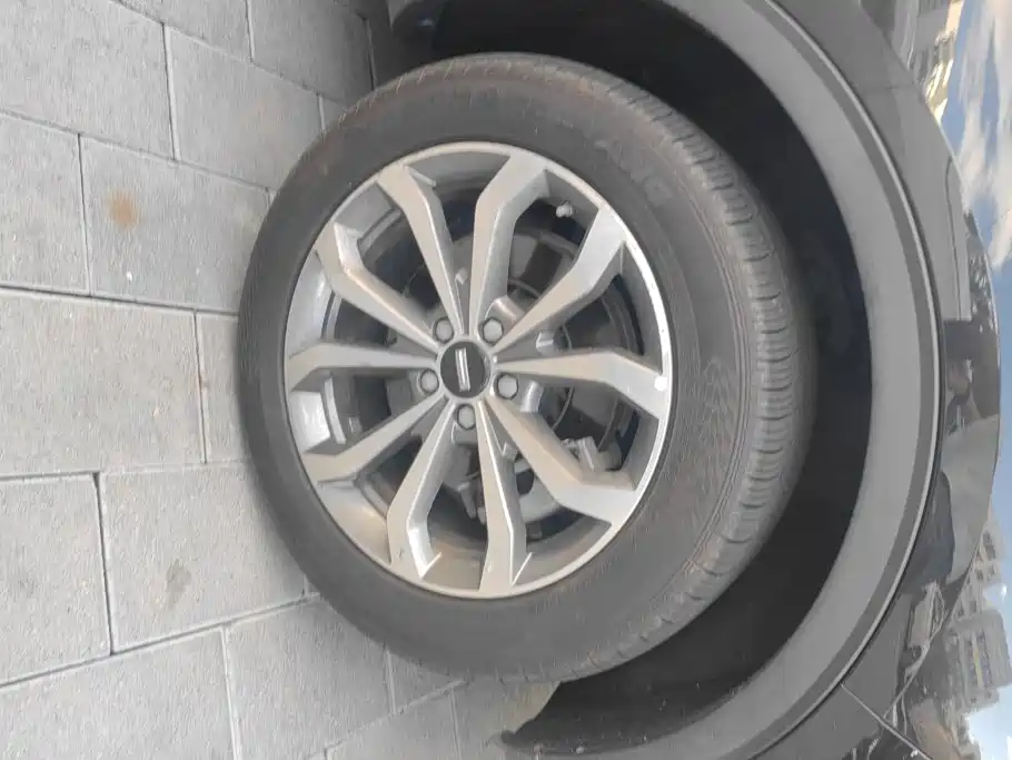 Wey Wey VV6 — миниатюра 6