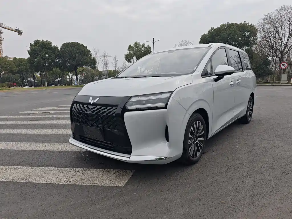 Wuling 星光730 0