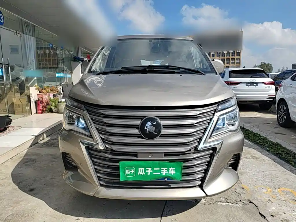Fengxing Lingzhi — миниатюра 3
