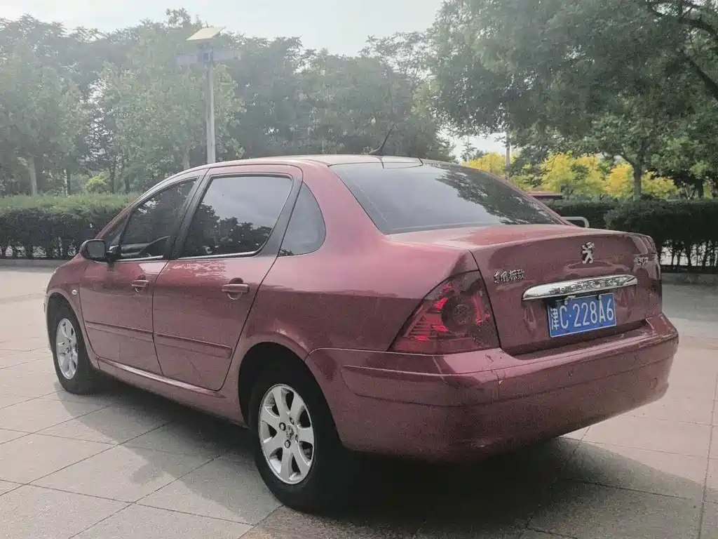 Peugeot 307 — миниатюра 6