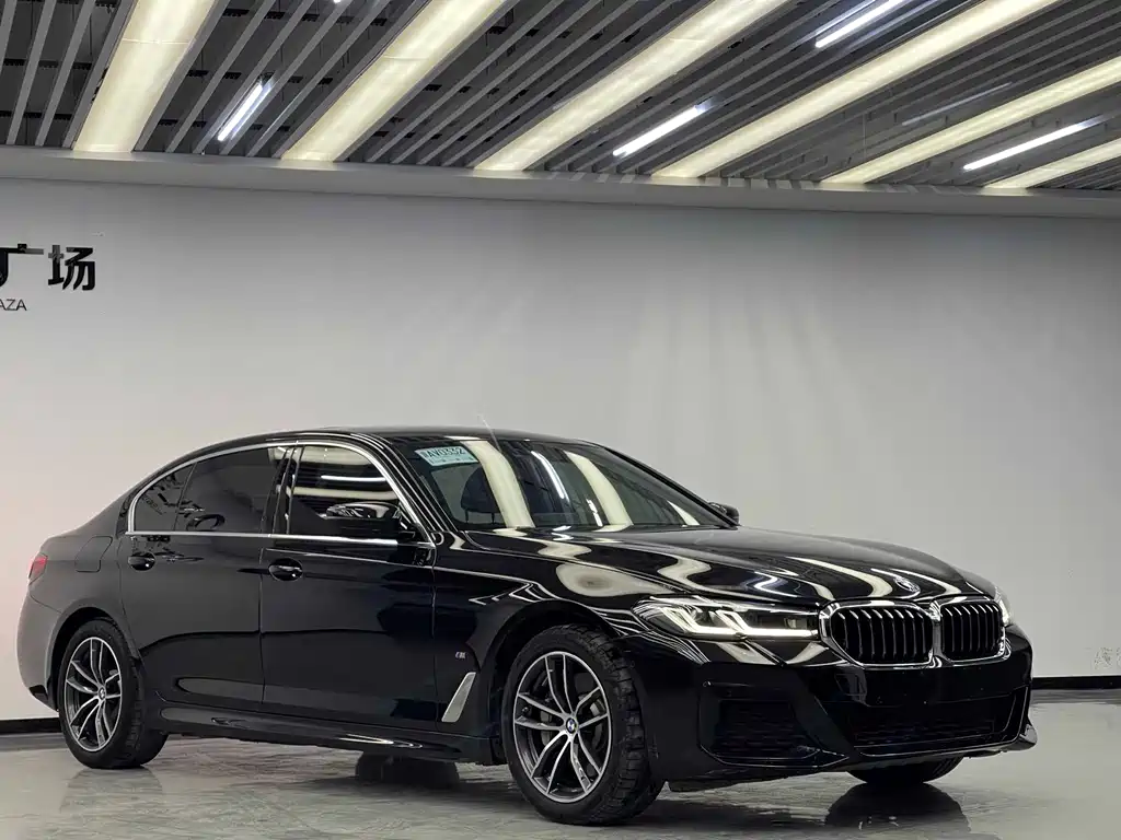 BMW 5 Series New Energy — миниатюра 3