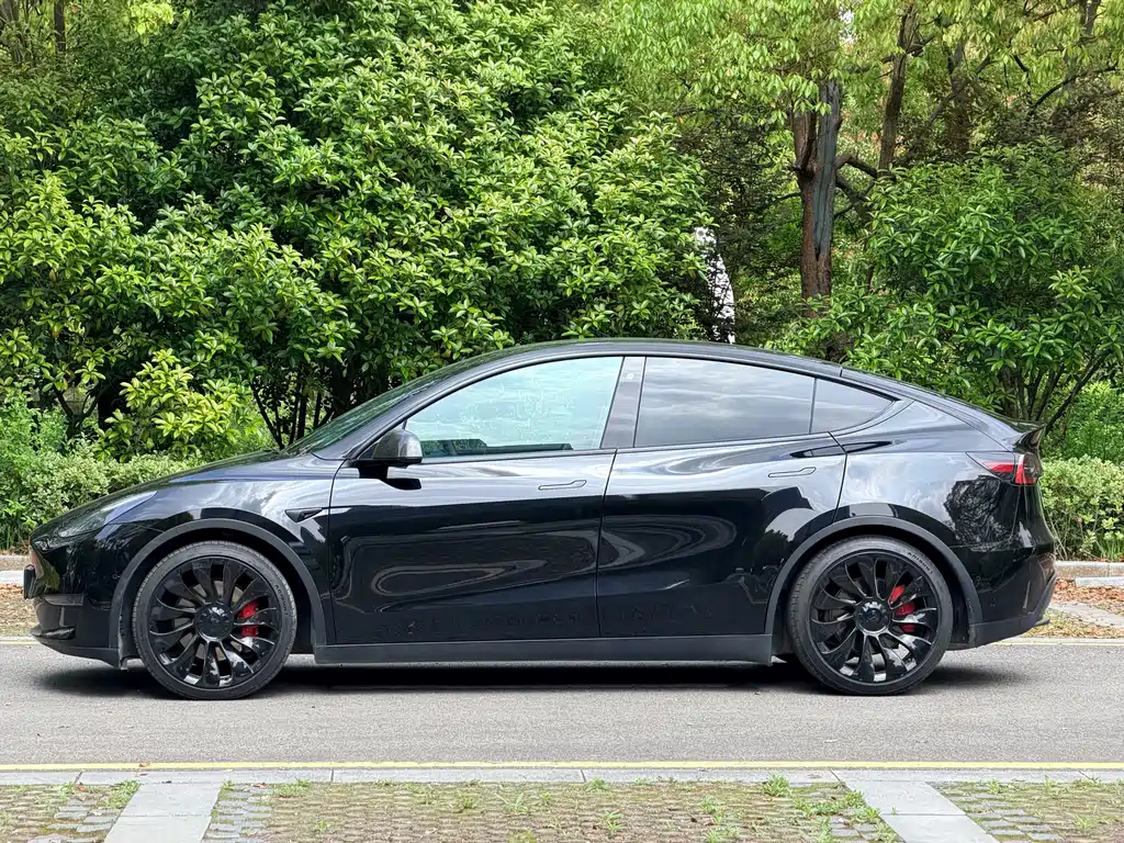 Tesla Model Y 2021 Performance