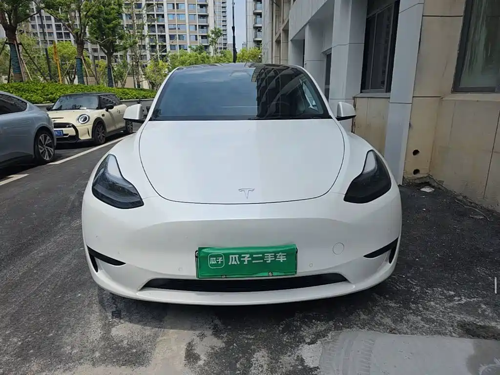 Tesla Model Y — миниатюра 3