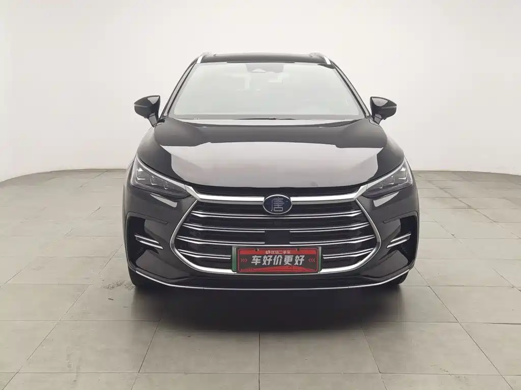 BYD Tang New Energy — миниатюра 3
