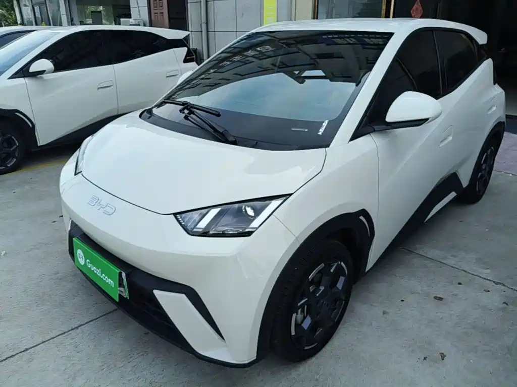 BYD Seagull 2024 305km Freedom