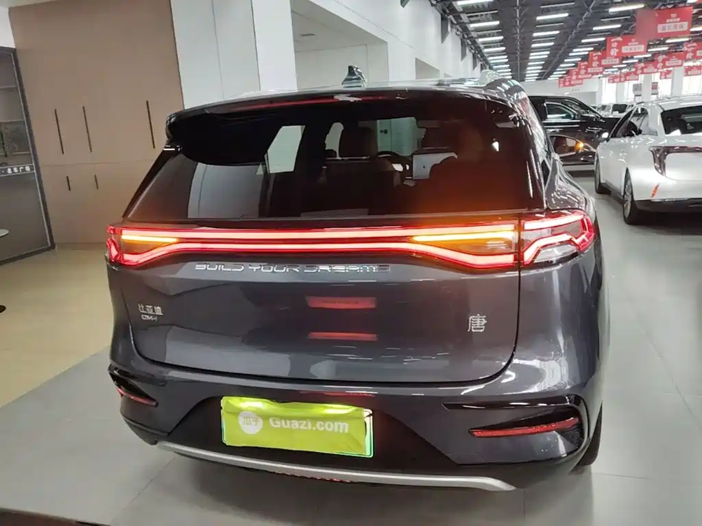 BYD Tang New Energy — миниатюра 6