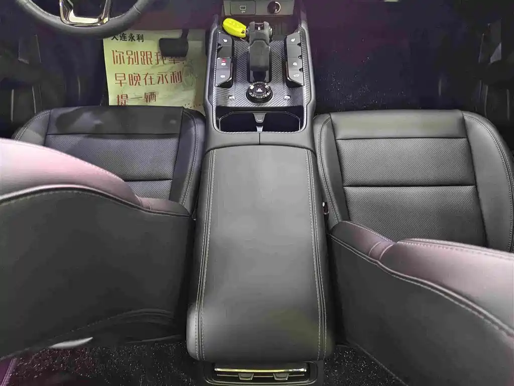Haval Big Dog PLUS New Energy — миниатюра 9
