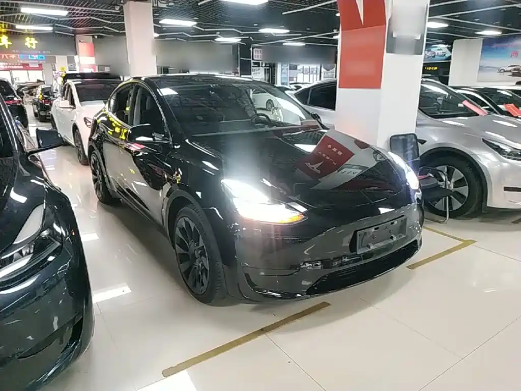 Tesla Model Y — миниатюра 4
