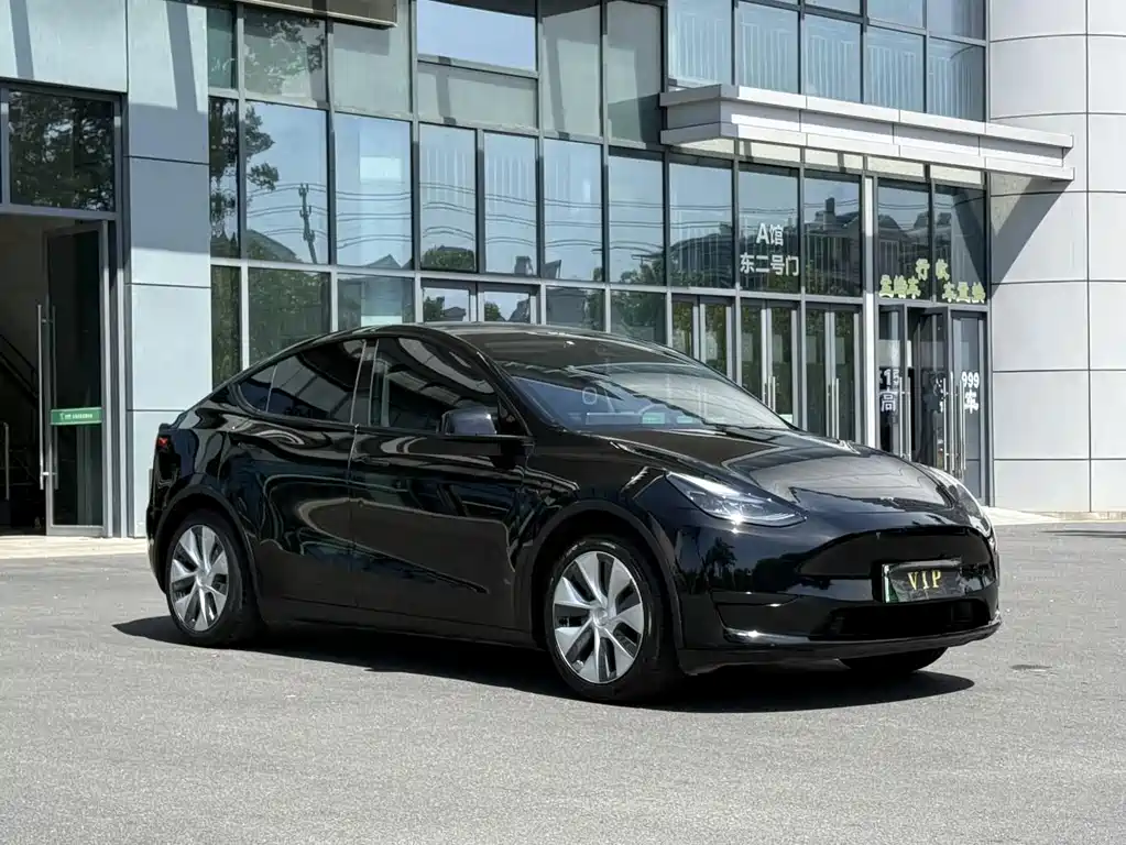Tesla Model Y — миниатюра 3