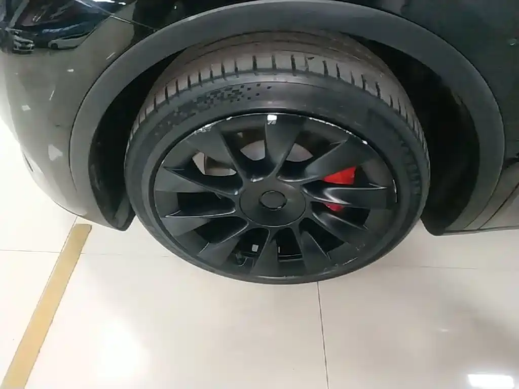 Tesla Model Y — миниатюра 23