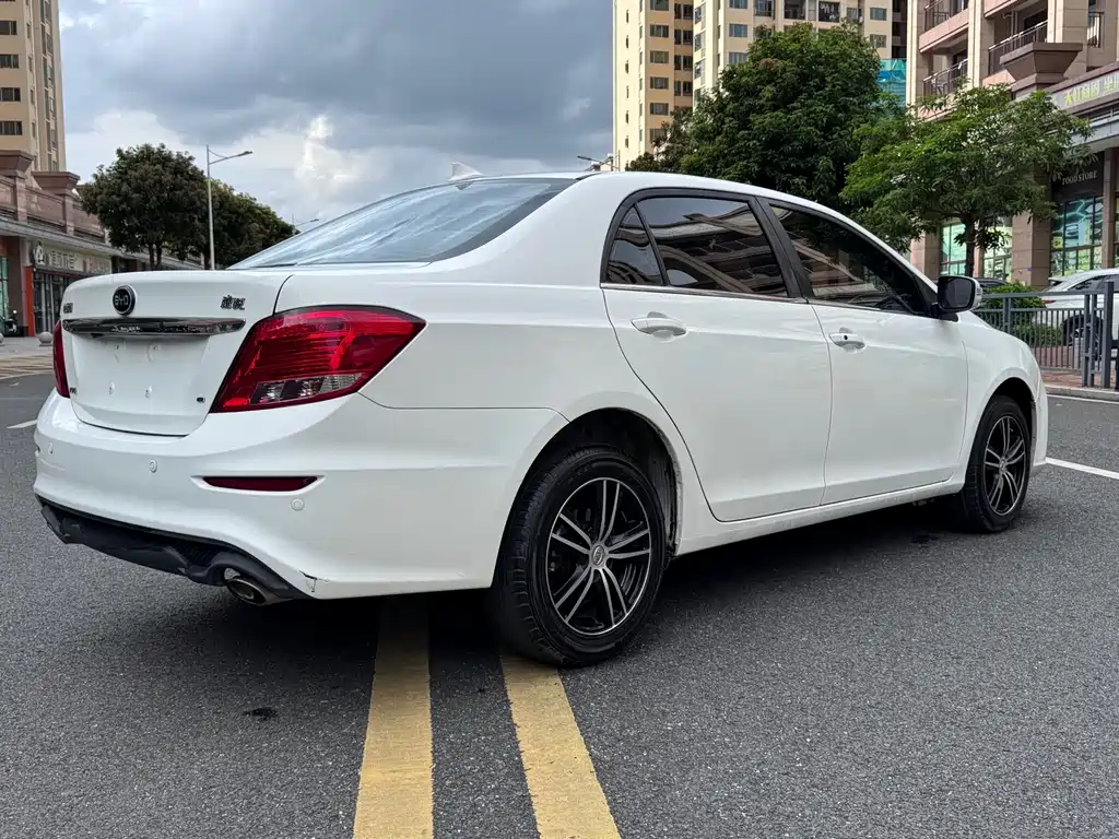 BYD Surui — миниатюра 5