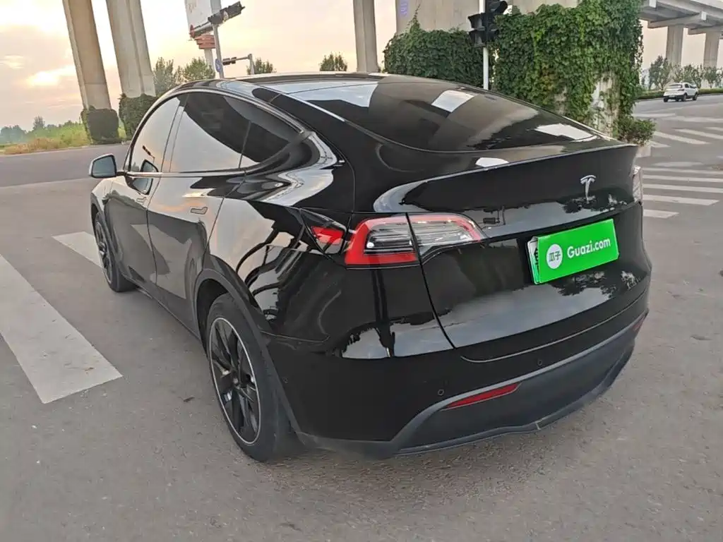 Tesla Model Y — миниатюра 5