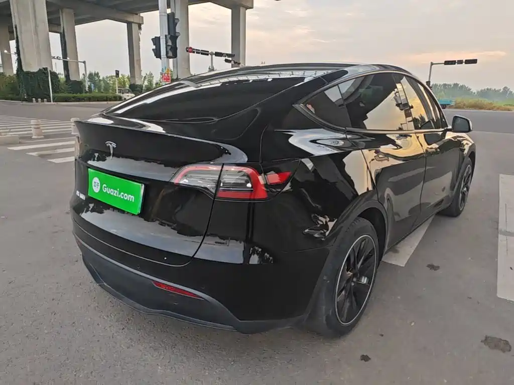 Tesla Model Y — миниатюра 7