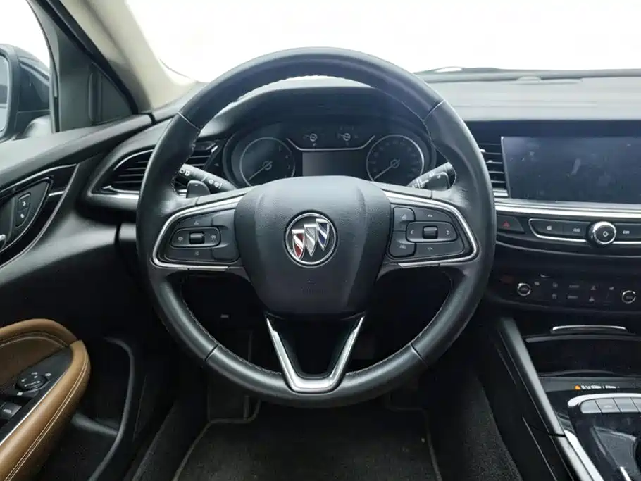 Buick Regal — миниатюра 15