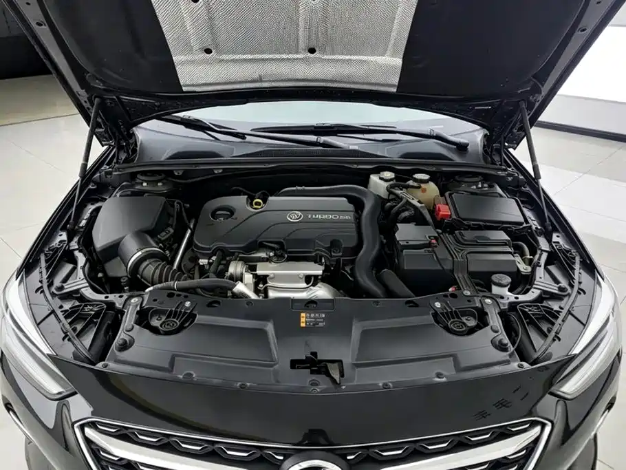 Buick Regal — миниатюра 10