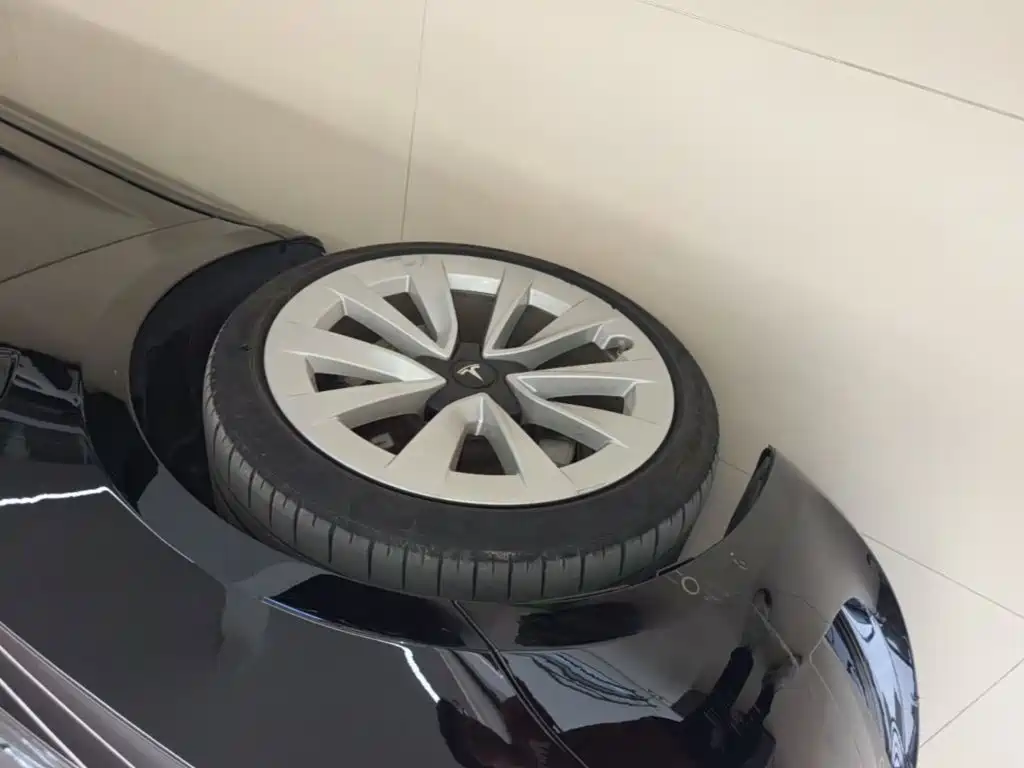 Tesla Model 3 — миниатюра 23