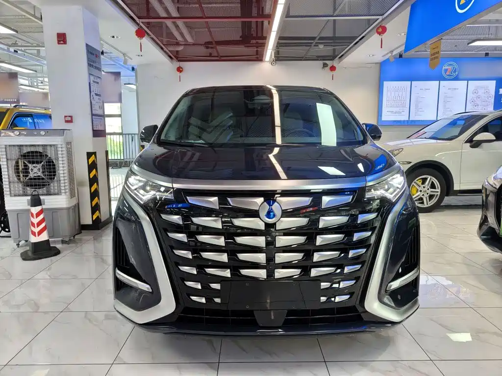 Denza Denza D9 — миниатюра 3