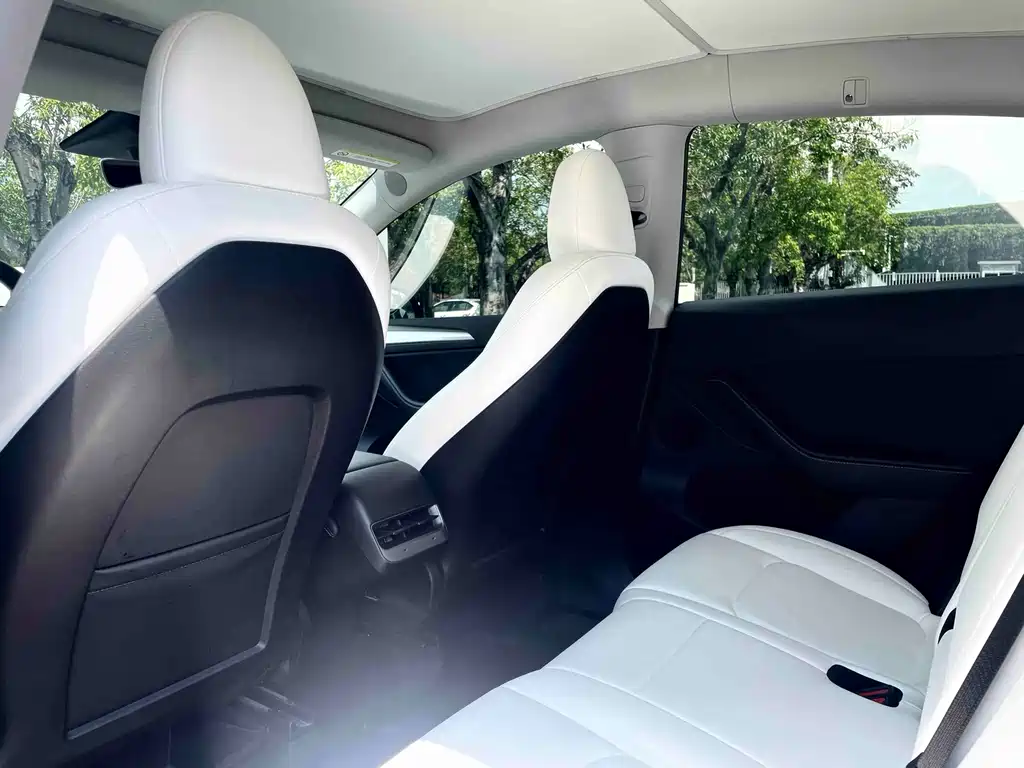 Tesla Model Y — миниатюра 8
