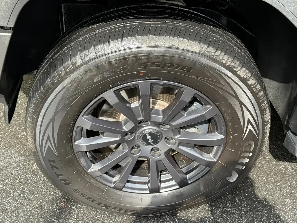 FANG CHENG BAO LEOPARD 5