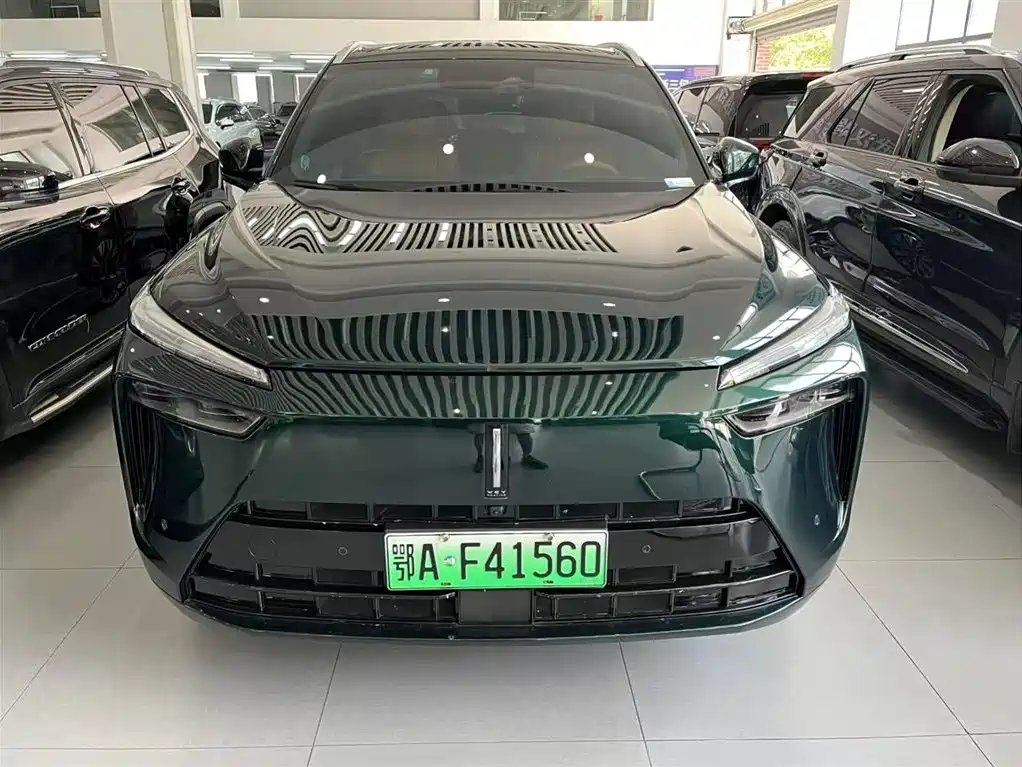 WEI PAI WEI BRAND BLUE MOUNTAIN