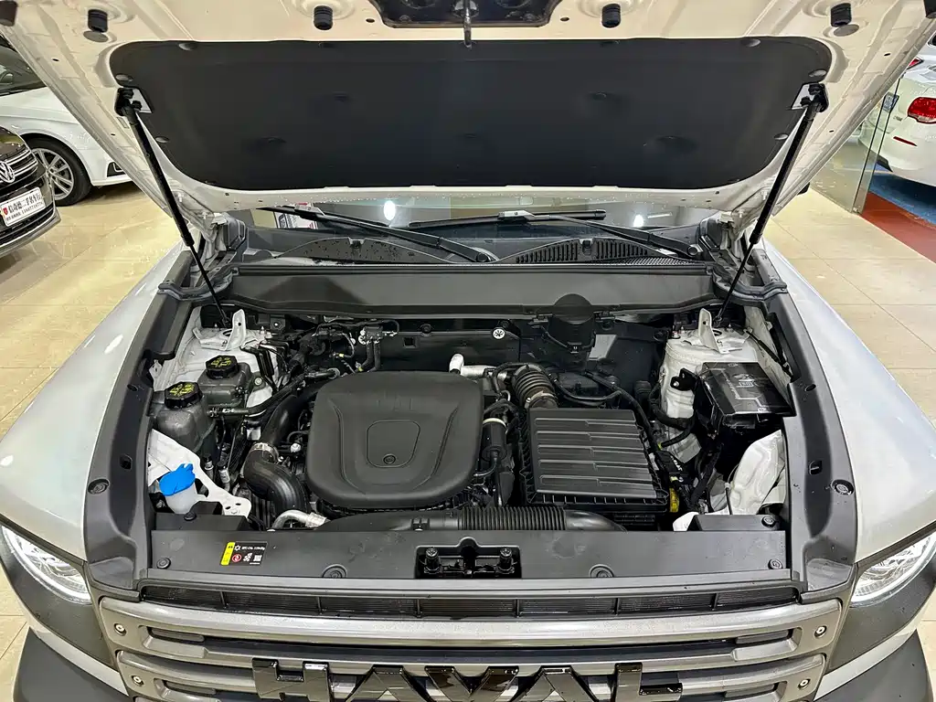 Haval Menglong New Energy — миниатюра 23