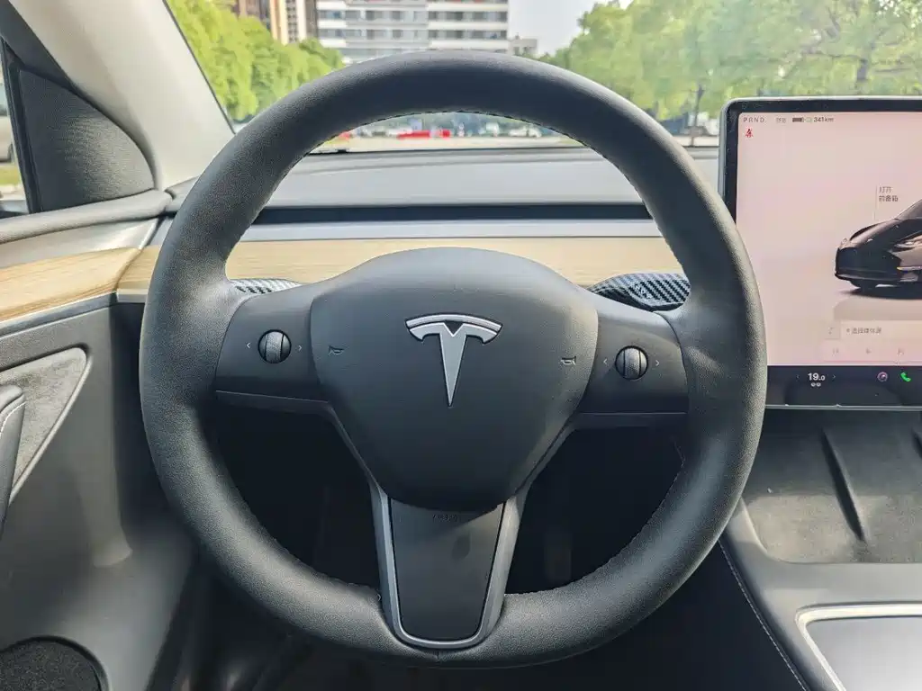 Tesla Model Y — миниатюра 12