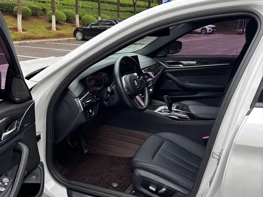 BMW 5 Series 5 2019 525Li M Sport