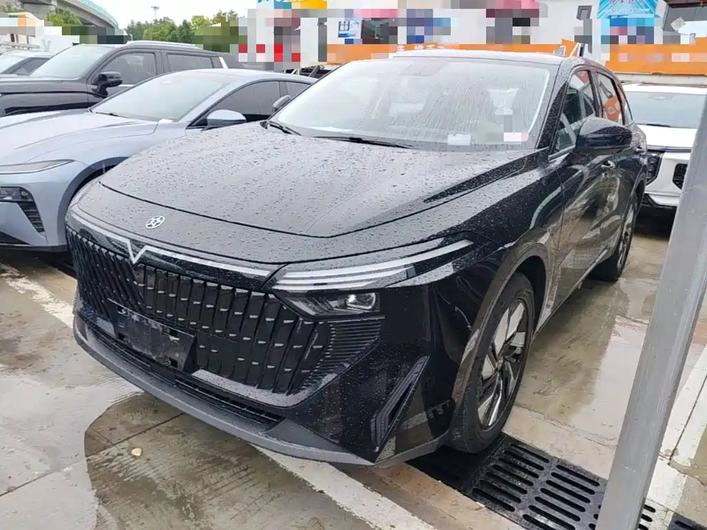 Venucia V DD-i