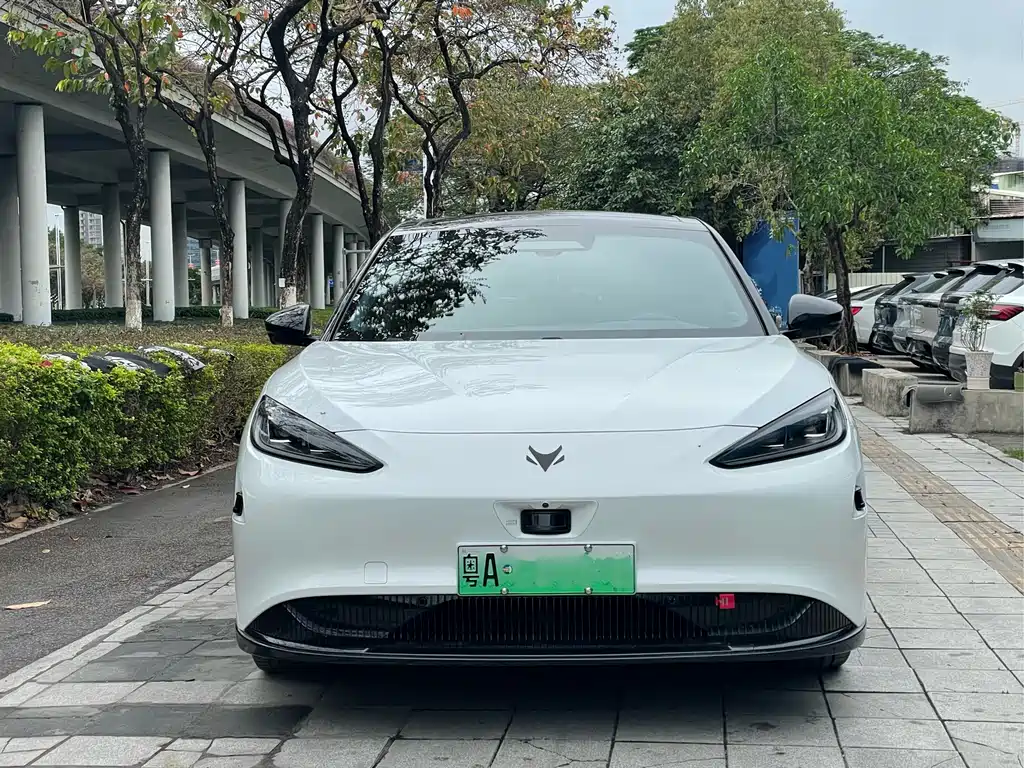 ARCFOX EXTREME FOX POLAR FOX ALPHA S