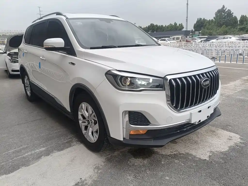 SWM SWM G05 — миниатюра 4