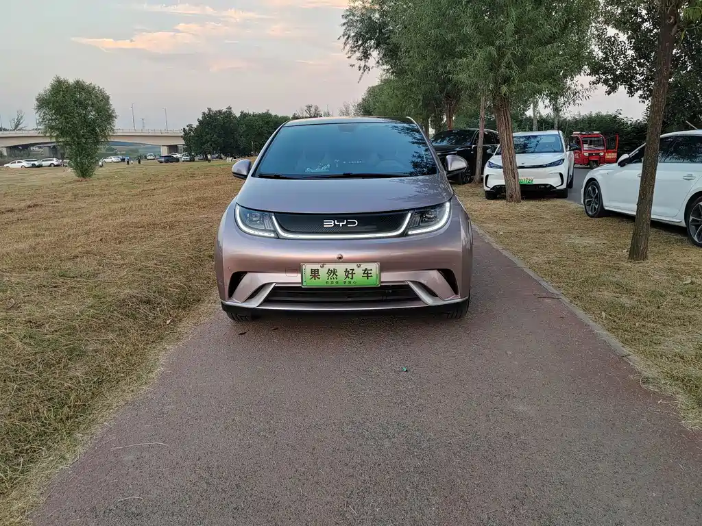BYD Dolphin — миниатюра 2