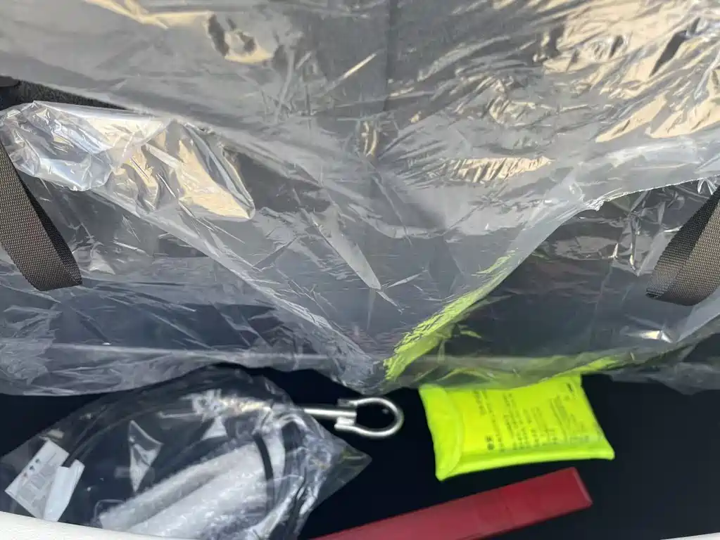 BESTUNE PENTIUM PONY